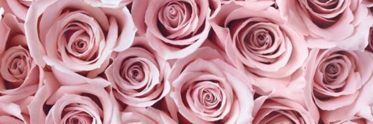 lyd_schaible's profile banner image