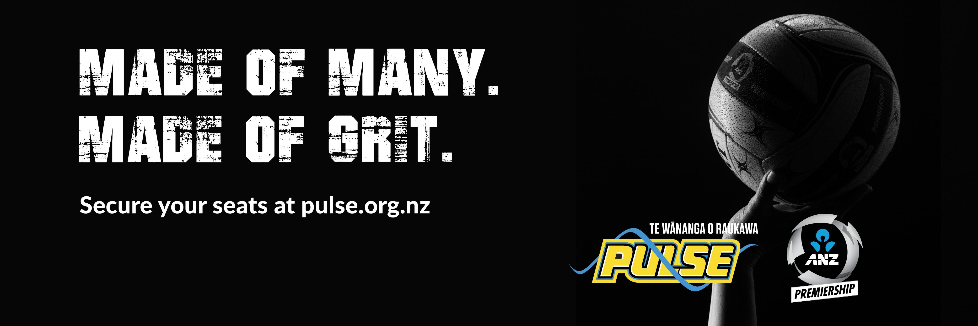 Pulse Netball banner