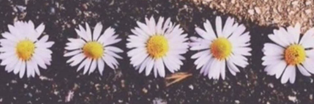 RanaHamissa's profile banner image