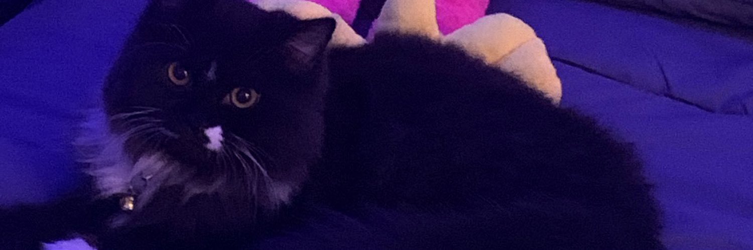cuioge's profile banner image