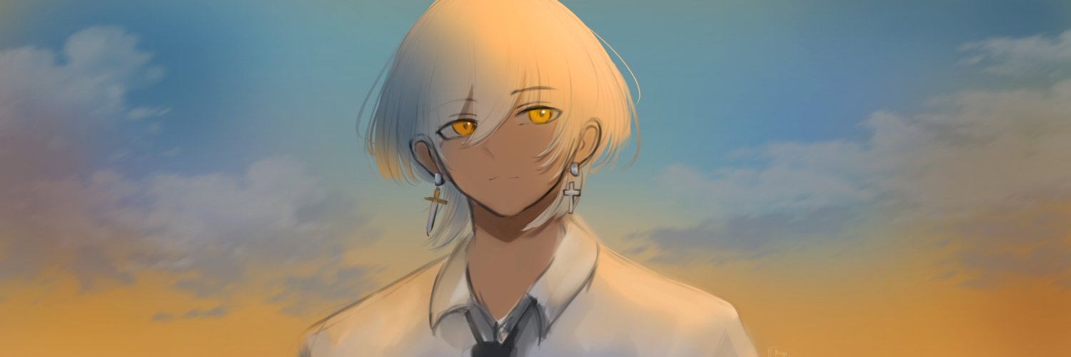 TSnauzer's profile banner image