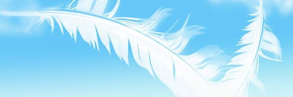 kengrich's profile banner image