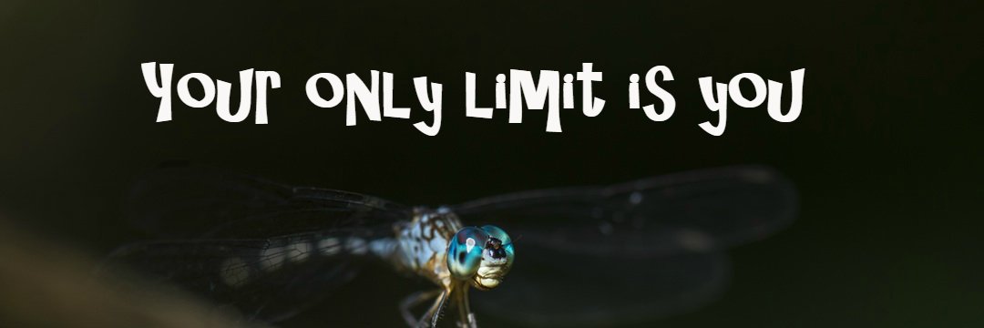 SocialMediaIngenuity banner