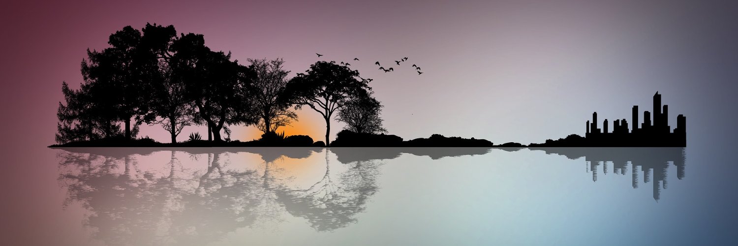 ProfessorD561's profile banner image