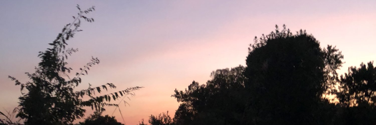 Cornelius_punch's profile banner image