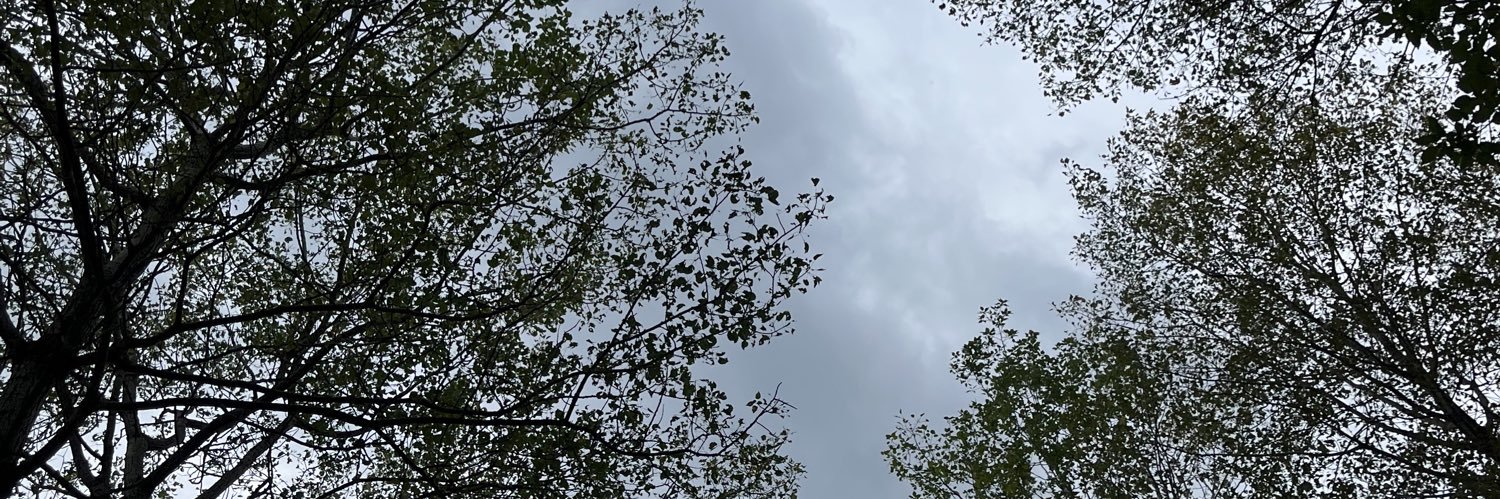 BooScot579's profile banner image