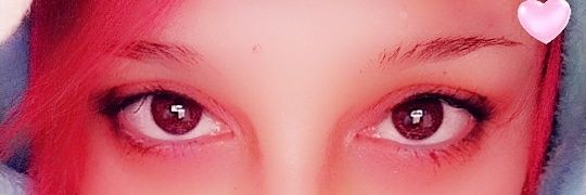 Truevaultmeat's profile banner image