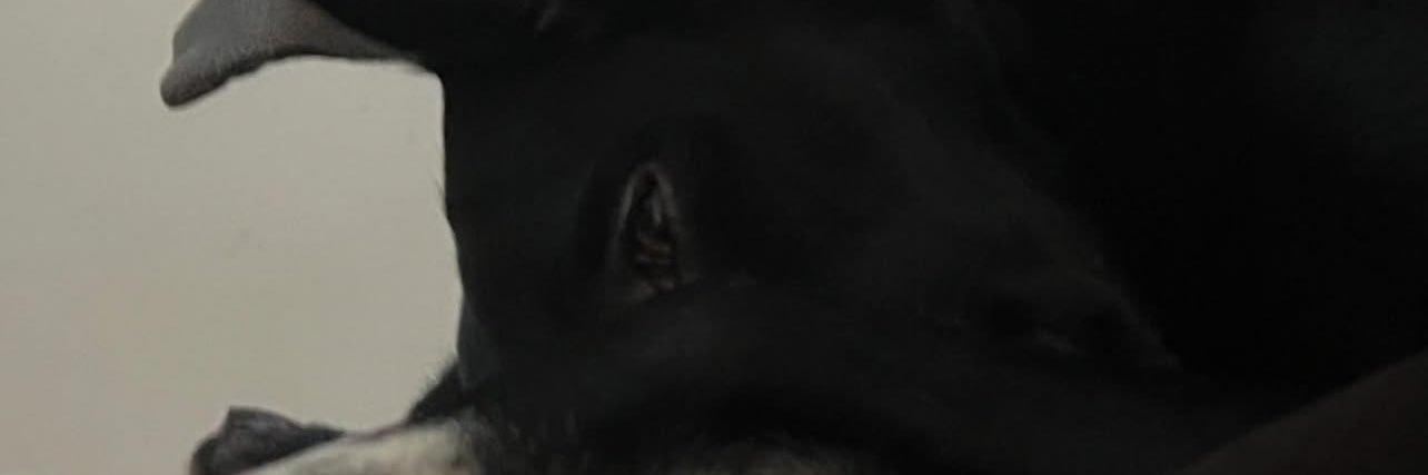 mayxrms's profile banner image