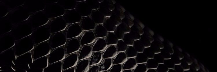 Ransom Lebroq banner