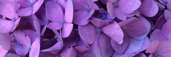 Maddy Sheraka banner