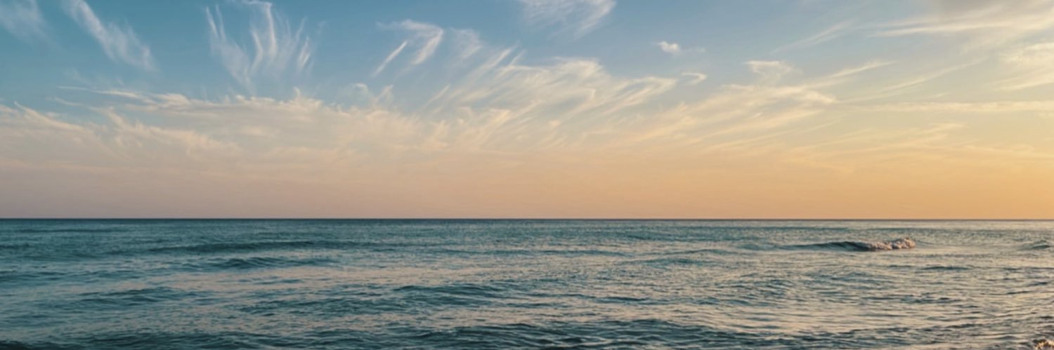 shepherdnatalie's profile banner image