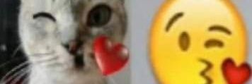 hoselor's profile banner image
