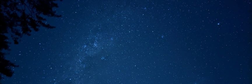 G.V🍄 banner