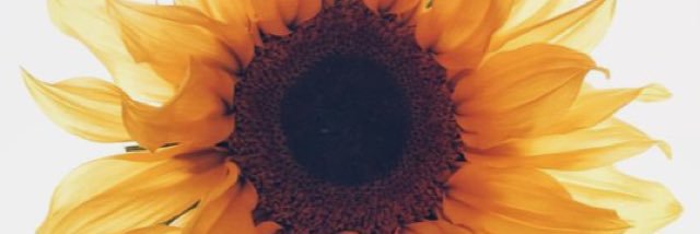Haley_eliz's profile banner image
