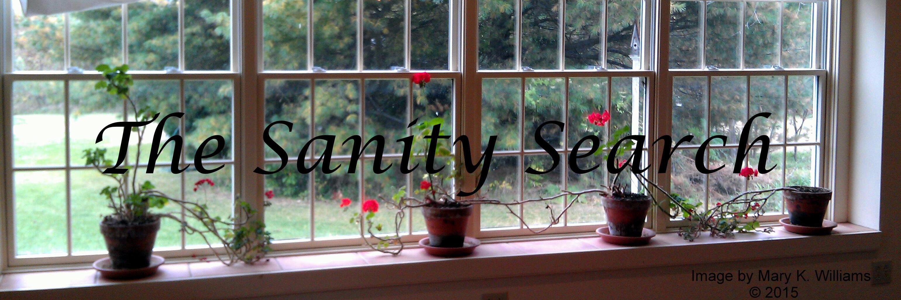 TheSanitySearch's profile banner image