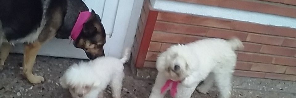 mcolizz's profile banner image