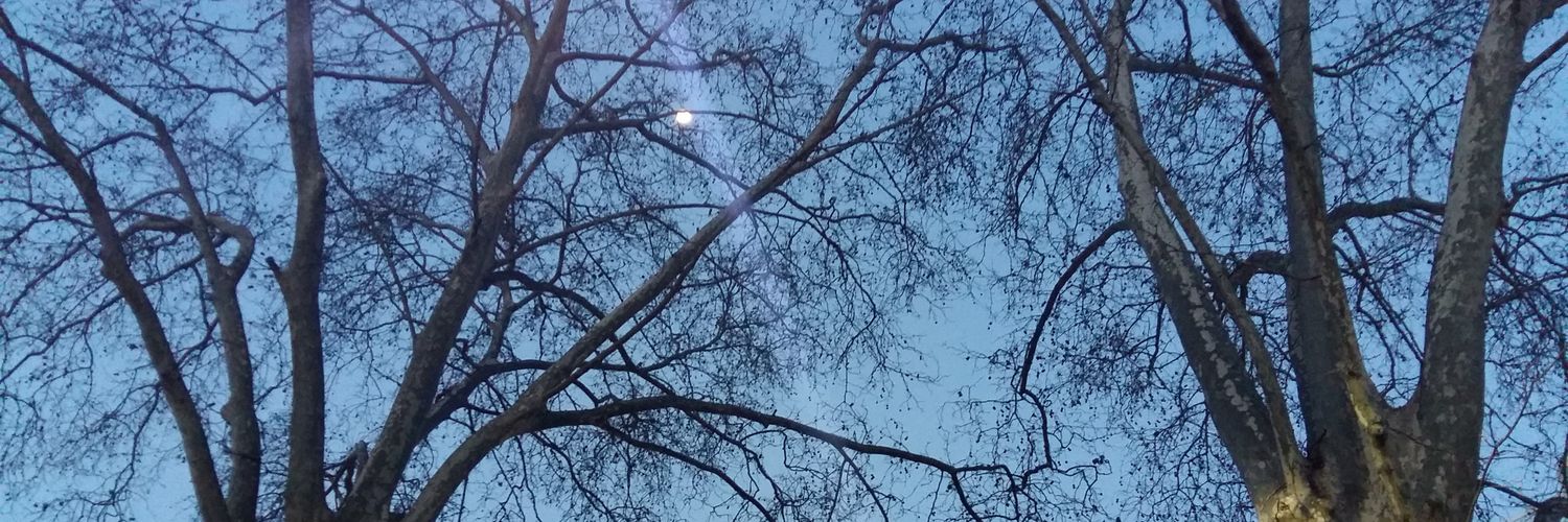 avezancuda's profile banner image