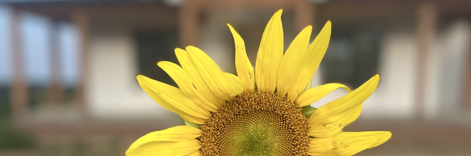 designxdani's profile banner image