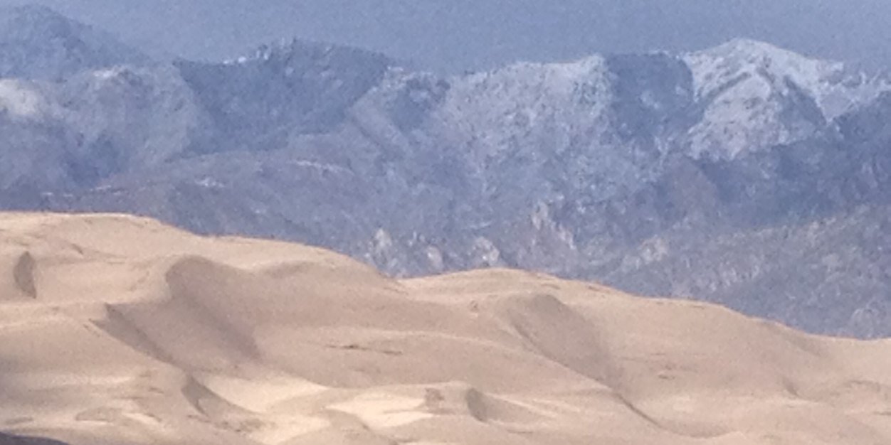 JustyRandyPalms's profile banner image