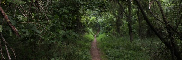 crystalldowning Profile Banner