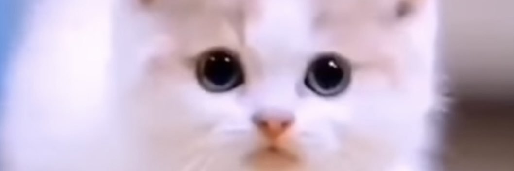 bujassim36's profile banner image