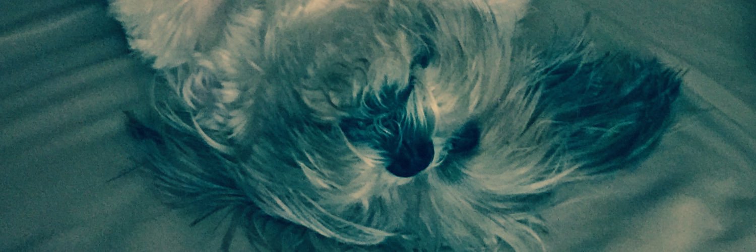 PrincessFifi134's profile banner image