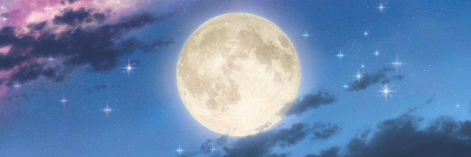 onlyallyxz's profile banner image