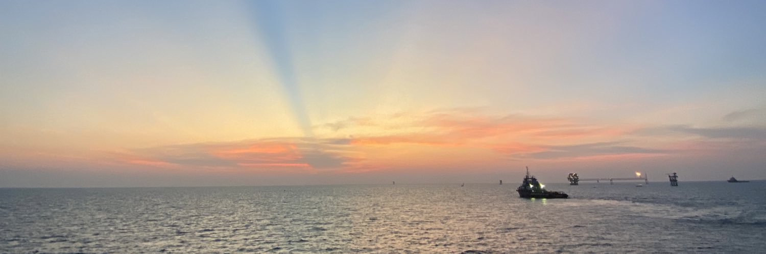 roniwarsonow's profile banner image