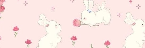 cam banner