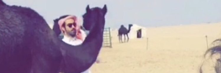 ناصر المجروب banner