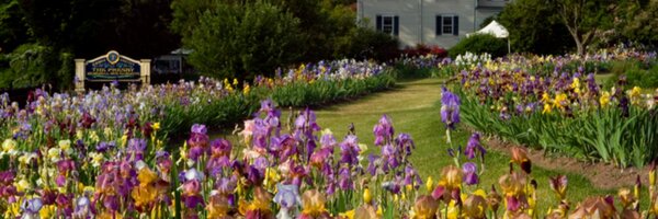 Presby Iris Gardens Profile Banner