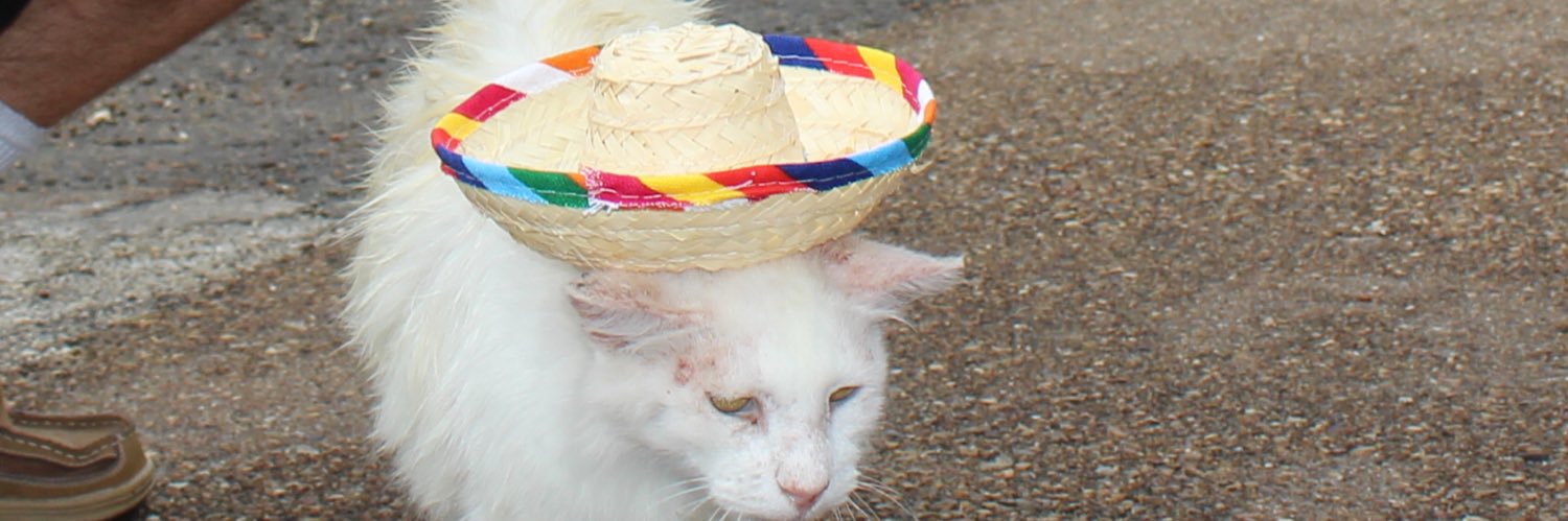 grraceharrisonn's profile banner image