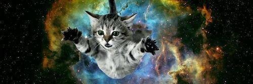 CataBlanco_'s profile banner image