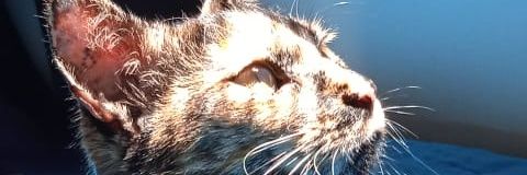 titetc64's profile banner image
