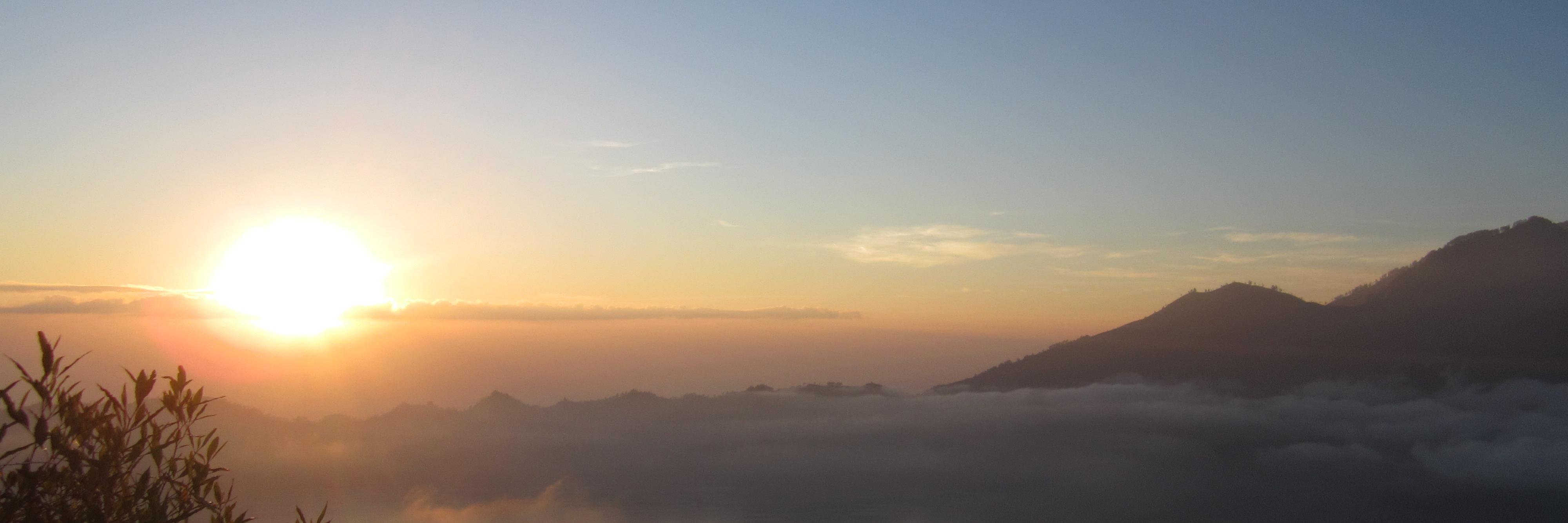 Catherine Collins banner