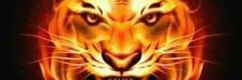 Poetra Koetai banner