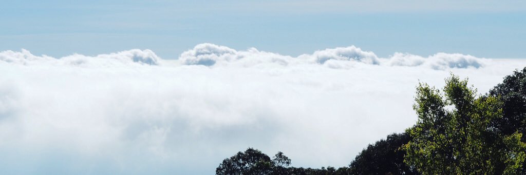 feemfun's profile banner image