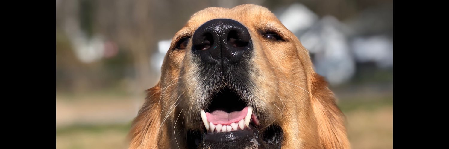 AddieCarter1's profile banner image