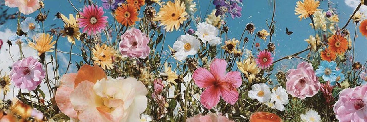 TabathaBetts's profile banner image