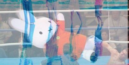 panmimi11's profile banner image