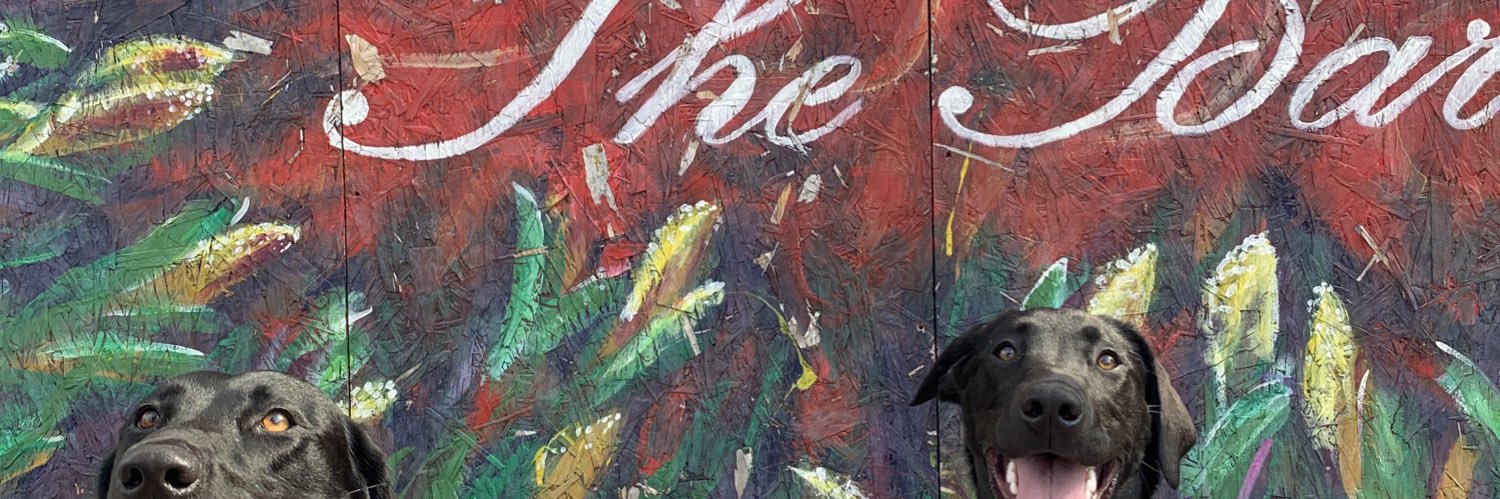 JacobDye_'s profile banner image