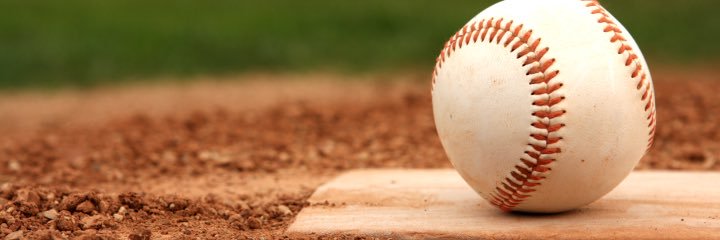 duck_baseball's profile banner image