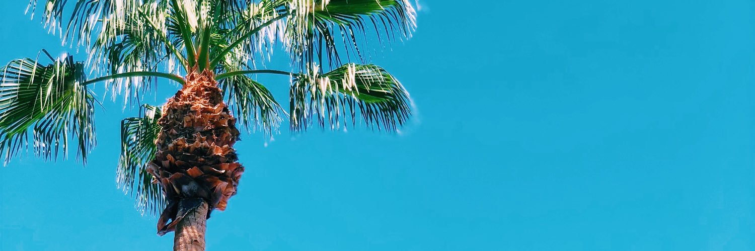 lgoodnighttt's profile banner image