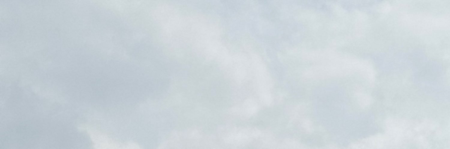 MichelOlveJ's profile banner image