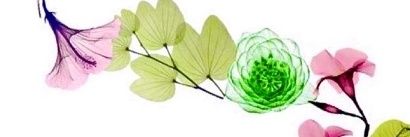 PenaRegnault's profile banner image