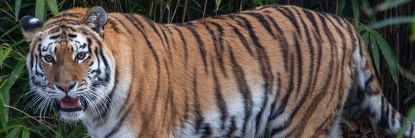 jackdan_no7 Profile Banner