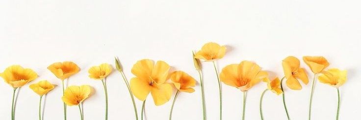 AzulEricka's profile banner image