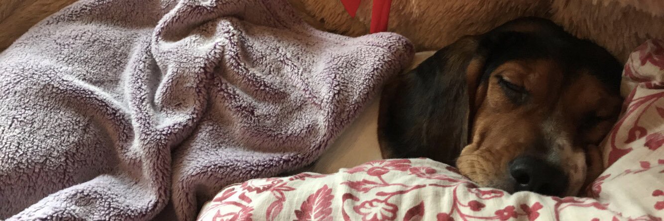 kaemonay's profile banner image