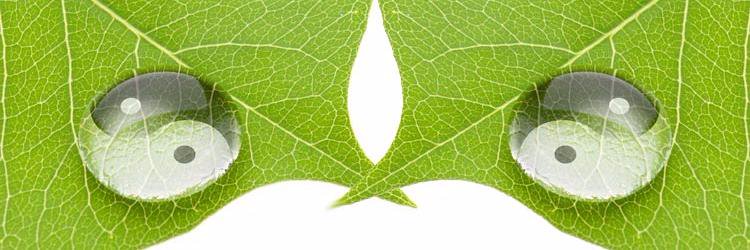 Karma_Leaf's profile banner image