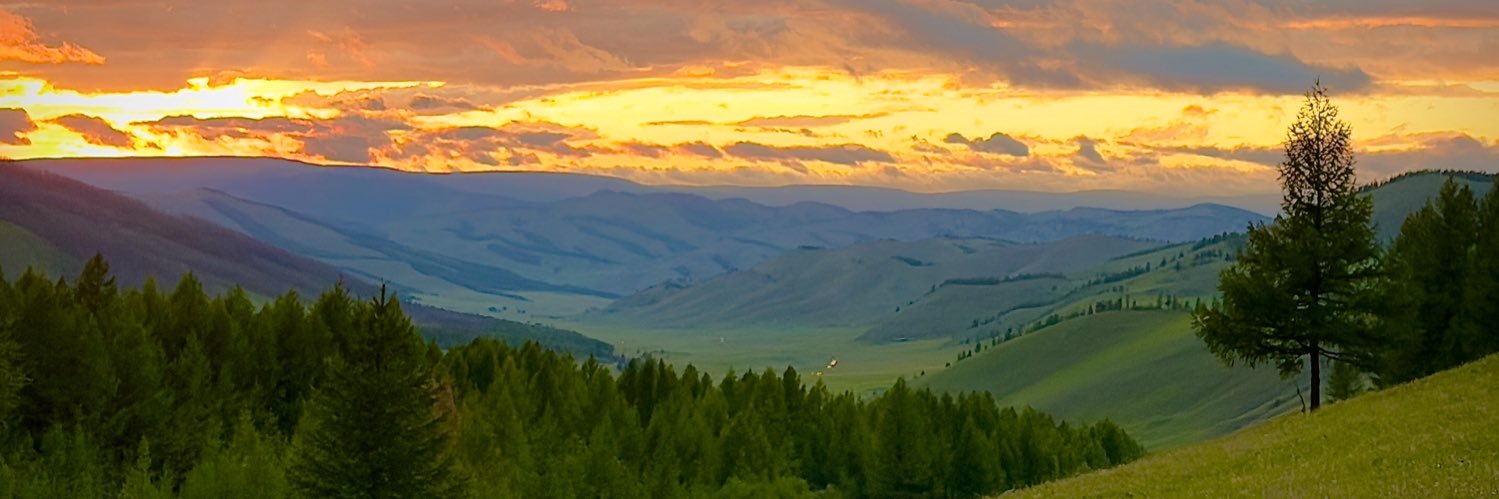 ulziitur's profile banner image
